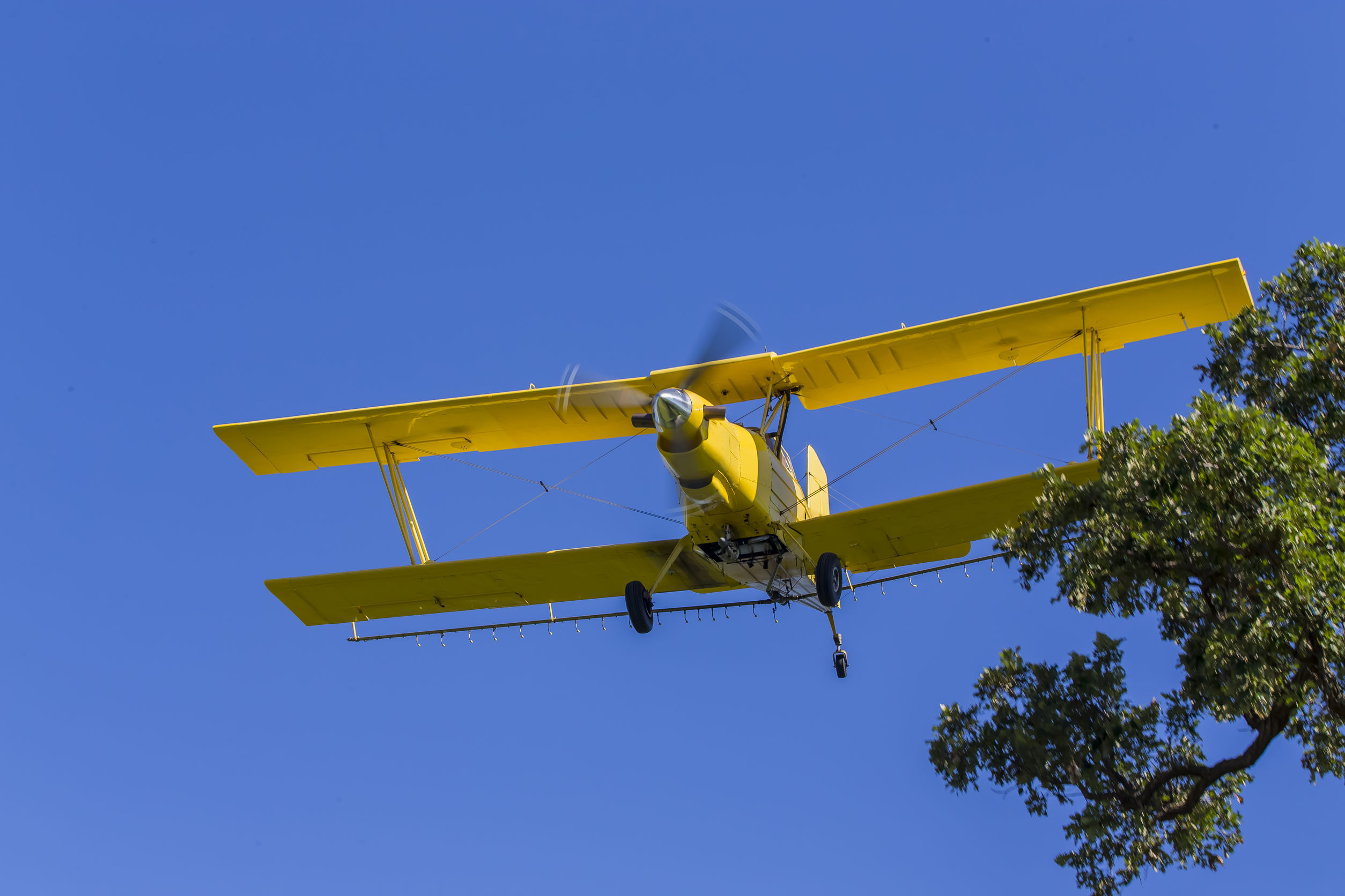 a crop duster applies chemicals to a field of vegetation.