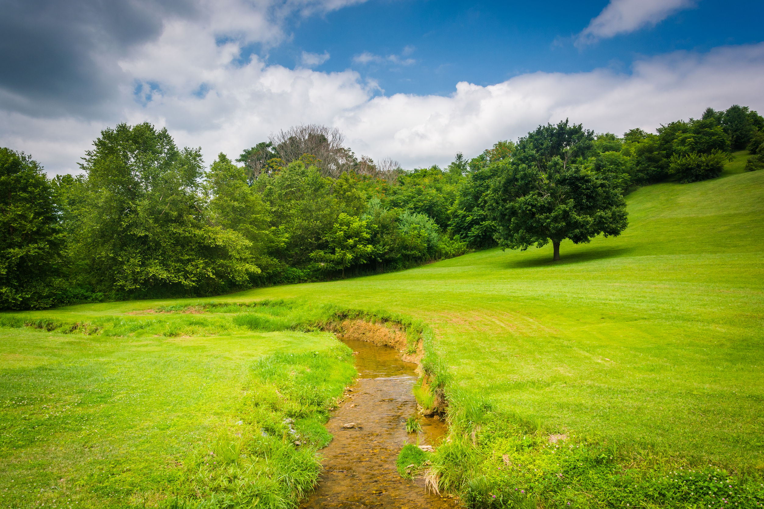 small creek and field in rural carroll county, maryland.