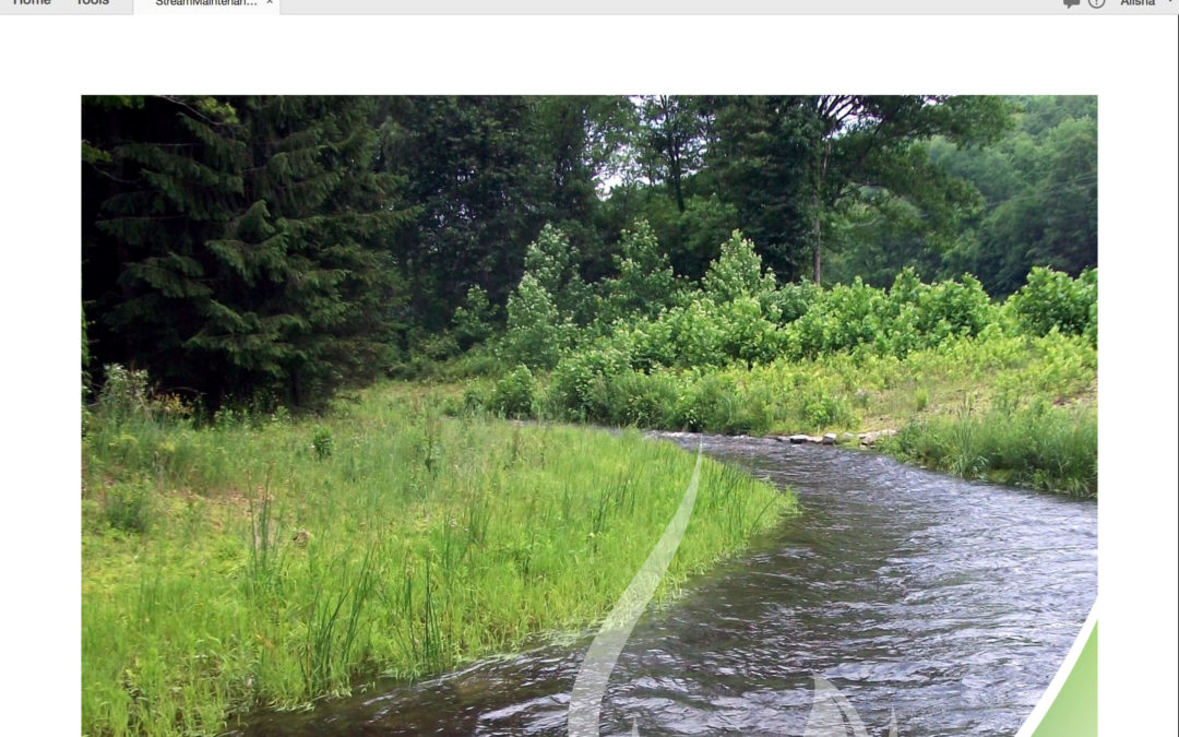 DEP’s “Guidelines for Maintaining Streams in Your Community”