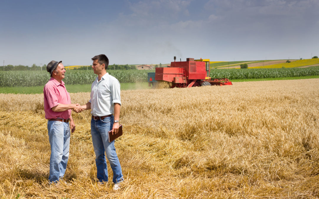 peasant and businessman shaking hands on wheat field