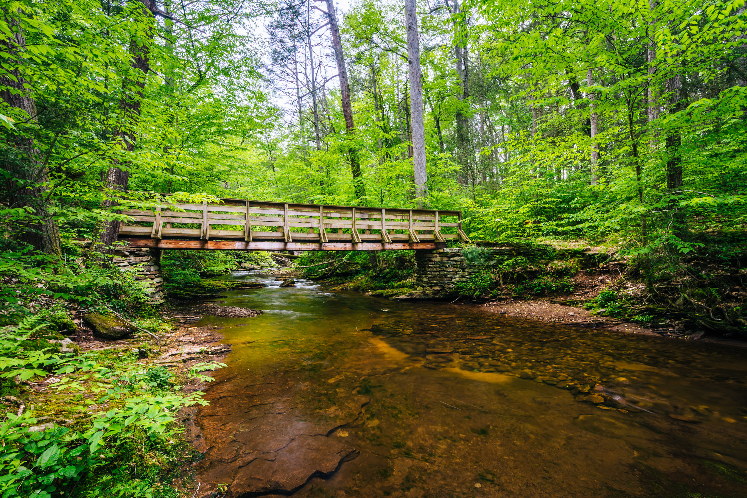 wooden footbridge over kitchen creek, at ricketts glen state park, pennsylvania.