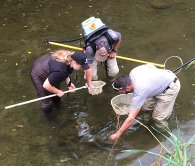 Warrior Run Watershed National Water Quality Initiative